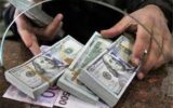 افزایش ۱۱ درصدی سپرده‌های ارزی ایران به بیش از ۲۰ میلیارد دلار