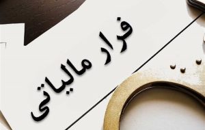 تقویت حسابرسی سیستمی در راستای حمایت هدفمند از تولید است