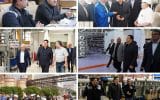 بازدید مدیرعامل بانک ملت از شرکت های تولیدی و صنعتی استان های زنجان و قزوین